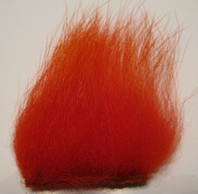 polar bear hot orange standart